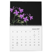 Wildblume Nordens Kalender (Jan 2027)