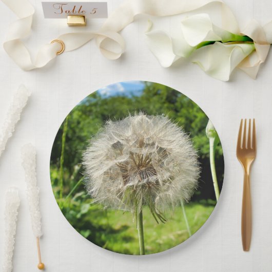 Wildblume-Papierplatte Pappteller (Hochzeit)