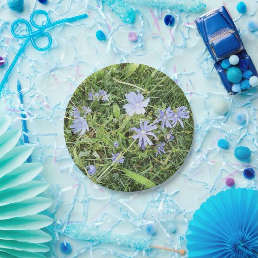 Wildblume Pappteller (Party)