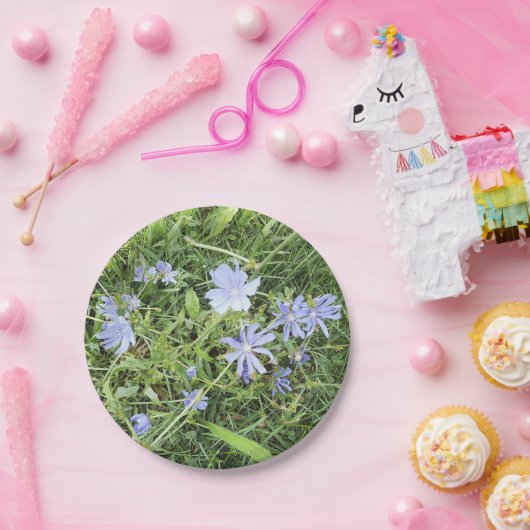 Wildblume Pappteller (Party)