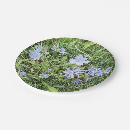 Wildblume Pappteller (Schrägansicht)