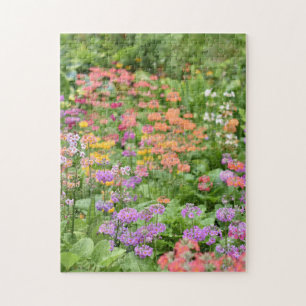 Wildblume Patchblumengarten Naturfotografie Puzzle