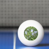 Wildblume Pong Ball Tischtennisball (Netto)
