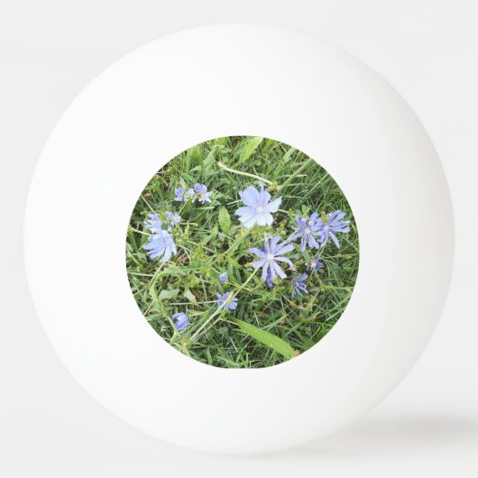 Wildblume Pong Ball Tischtennisball (Vorderseite)