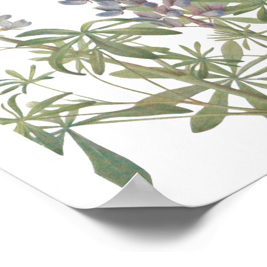 Wildblume Poster (Ecke)