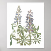 Wildblume Poster (Vorne)