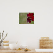 Wildblume Poster 1 (Küche)