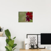 Wildblume Poster 1 (Heimbüro)