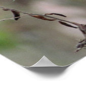 Wildblume Poster - 16 x 20 (Ecke)