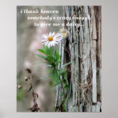 Wildblume Poster - 16 x 20 (Vorne)