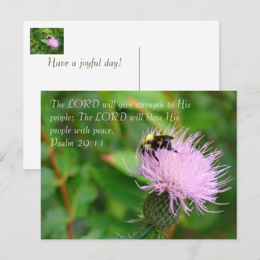 Wildblume Postkarte (Vorne/Hinten)