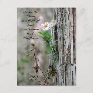 Wildblume Postkarte