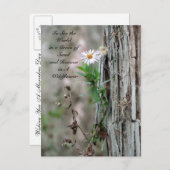 Wildblume Postkarte (Vorne/Hinten)