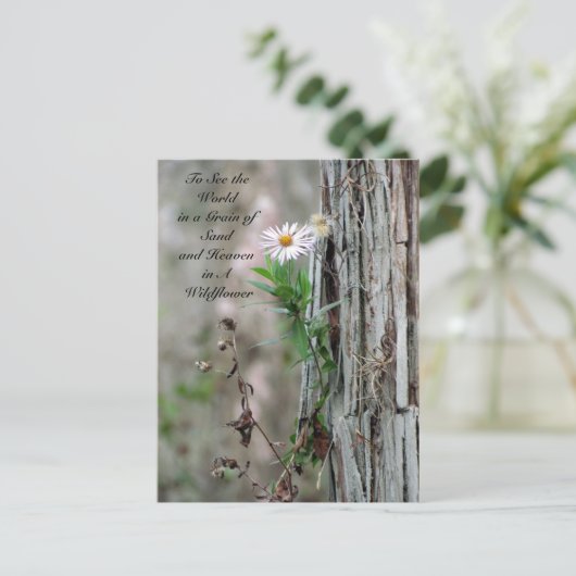 Wildblume Postkarte (Stehend Vorderseite)