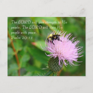 Wildblume Postkarte