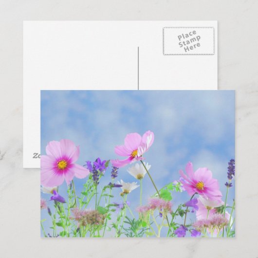 Wildblume Postkarte (Vorne/Hinten)