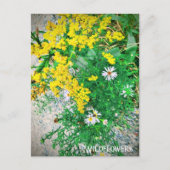 Wildblume Postkarte (Vorderseite)