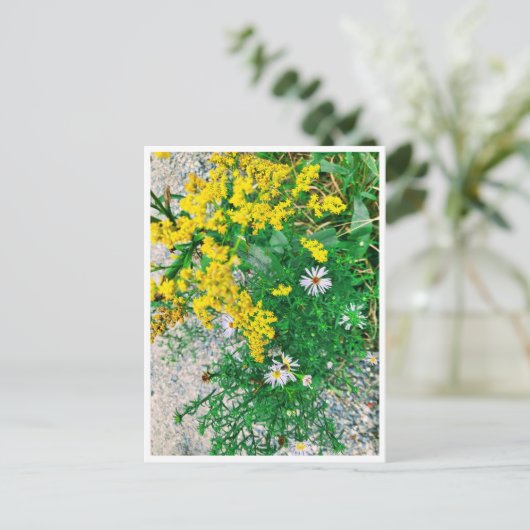 Wildblume Postkarte (Stehend Vorderseite)