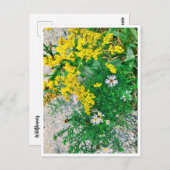 Wildblume Postkarte (Vorne/Hinten)