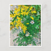 Wildblume Postkarte (Vorderseite)