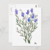 Wildblume Postkarte (Vorne/Hinten)