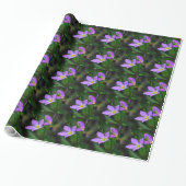 Wildblume Sabatia in Lavender Geschenkpapier (Ungerollt)