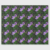Wildblume Sabatia in Lavender Geschenkpapier (Flach)