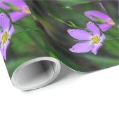 Wildblume Sabatia in Lavender Geschenkpapier (Rolleneckpunkt)