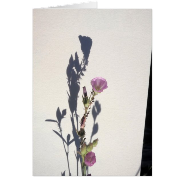 Wildblume-Schatten 2014 (Vorne)