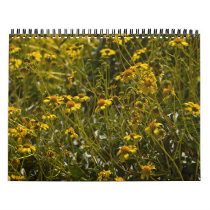 Wildblume-Schriftskalender 2014 Kalender