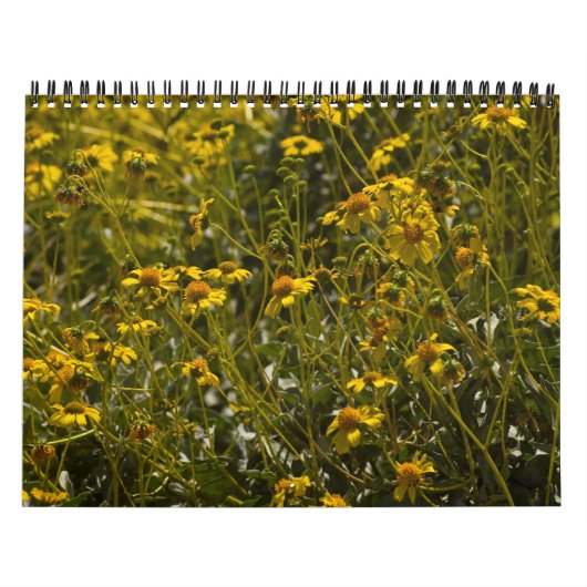 Wildblume Scripting-Kalender Kalender (Titelbild)