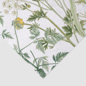 Wildblume Seidenpapier (Detail)