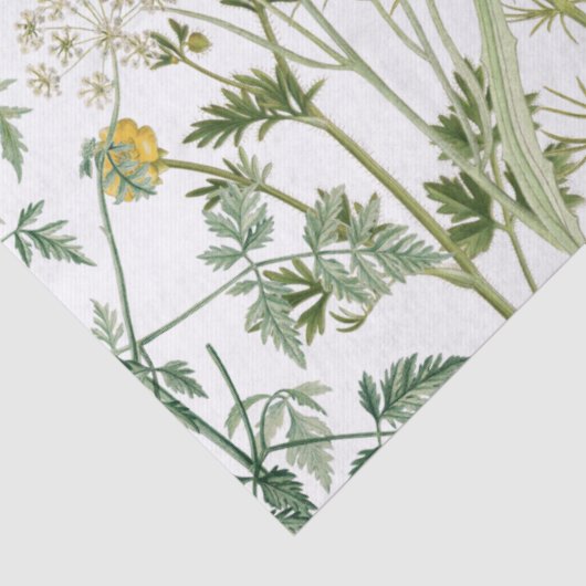 Wildblume Seidenpapier (Detail)