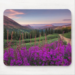 Wildblume-Sonnenaufgang Butte mit Haube, Colorado Mousepad