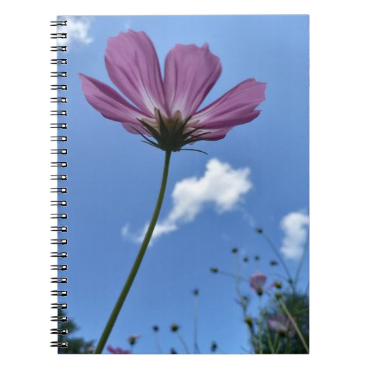 Wildblume Stehendes Tall Spiral Notebook Notizblock (Vorderseite)