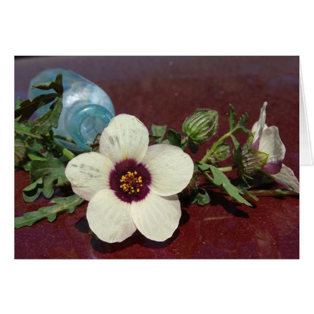 Wildblume Stillleben (Vorderseite (Horizontal))