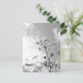 Wildblume Summer Postkarte (Stehend Vorderseite)