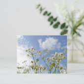 Wildblume Summer Postkarte (Stehend Vorderseite)