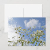Wildblume Summer Postkarte (Vorne/Hinten)