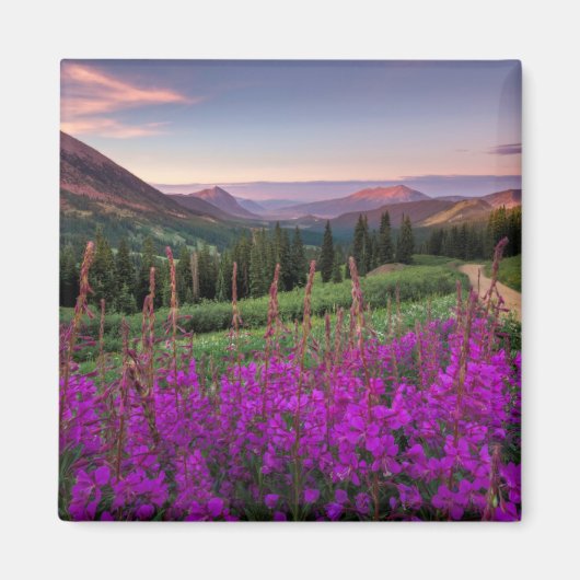 Wildblume Sunrise | Crested Butte, Colorado Magnet (Vorne)