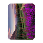 Wildblume Sunrise | Crested Butte, Colorado Magnet (Vertikal)