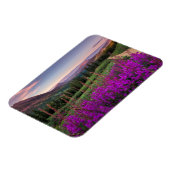Wildblume Sunrise | Crested Butte, Colorado Magnet (Linke Seite)