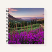 Wildblume Sunrise | Crested Butte, Colorado Notizblock (Vorderseite)