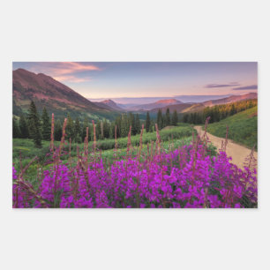 Wildblume Sunrise   Crested Butte, Colorado Rechteckiger Aufkleber