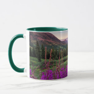 Wildblume Sunrise   Crested Butte, Colorado Tasse