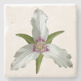 Wildblume Trillium Spring Stone Untersetzer