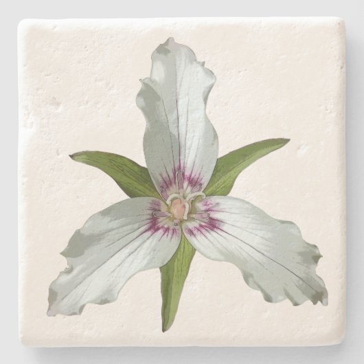 Wildblume Trillium Spring Stone Untersetzer (Vorderseite)