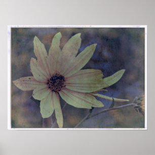 Wildblume und Biene Poster