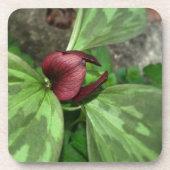 Wildblume Untersetzer (Vorderseite)