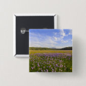 Wildblume von Penstemon im 2. Button (Vorne & Hinten)
